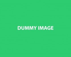 dummy-image-green